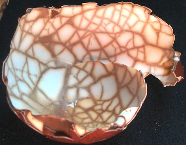 marbled shell
